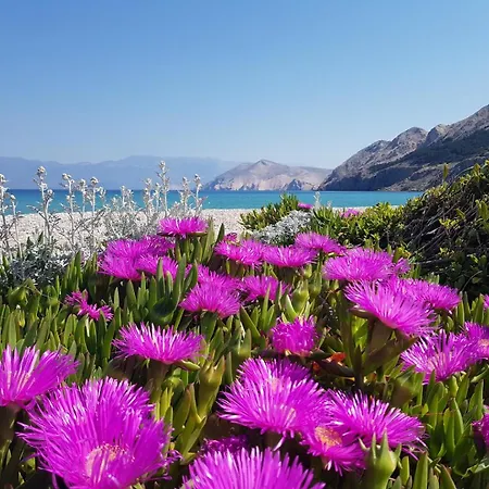 Sunshine Residence Baska Guest house